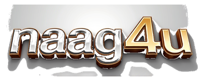 naag4u logo